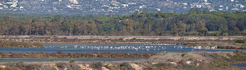 [2] ria formozo, choose3, 13 images, IMG_6026 - IMG_6040 - 4466x1269 - SCUL-Smartblend.jpg - il y en avait hein ?